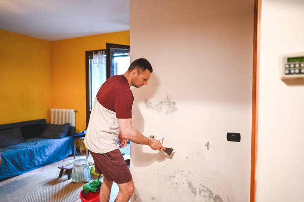 Best Black Mold Removal  in Isanti, MN